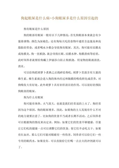 狗起眼屎是什么病-小狗眼屎多是什么原因引起的
