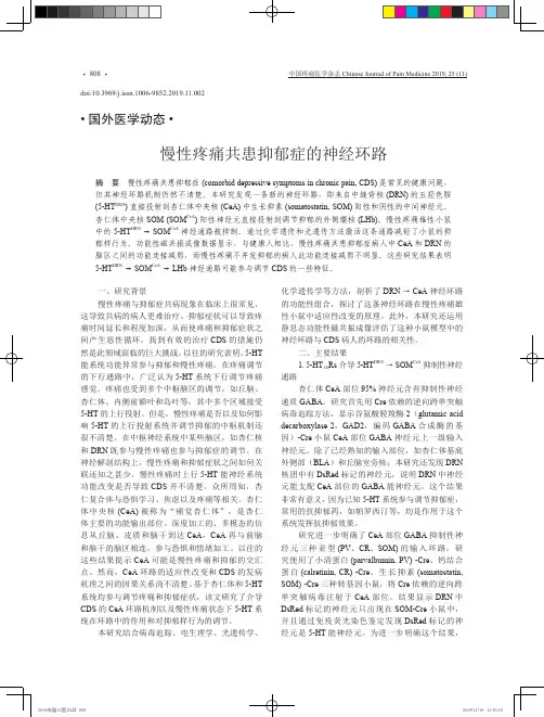 慢性疼痛共患抑郁症的神经环路