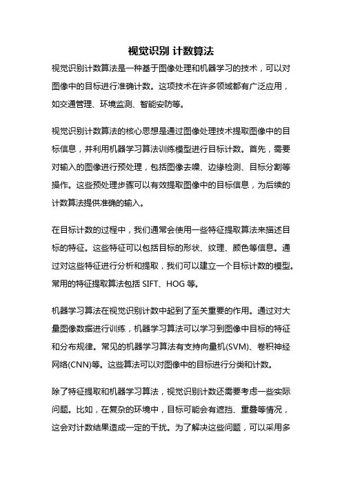 视觉识别 计数算法