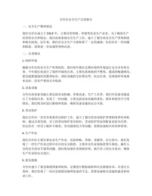 合作社安全生产自查报告