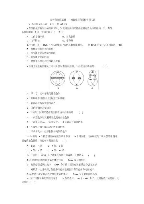 (完整版)减数分裂与受精作用习题含答案