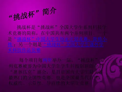 挑战杯简介