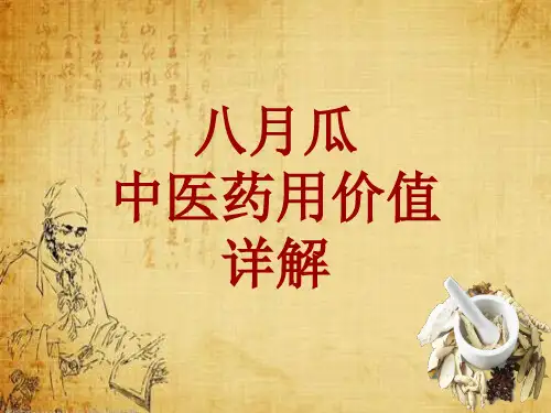 中药学_八月瓜_药材详解课件模板