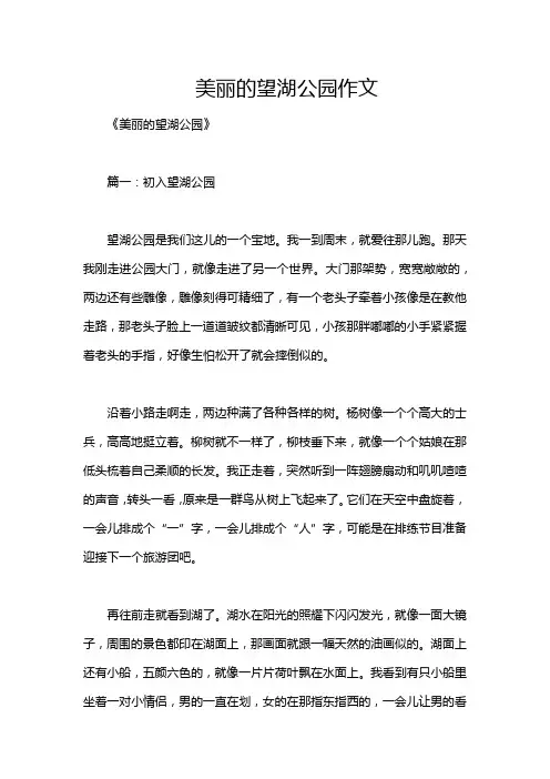 美丽的望湖公园作文