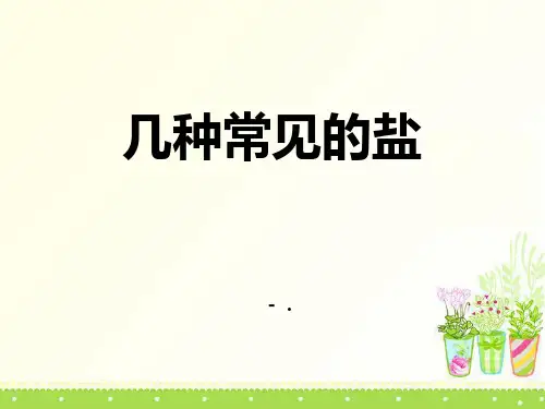 《几种常见的盐》盐PPT课件3