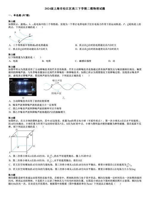 2024届上海市松江区高三下学期二模物理试题