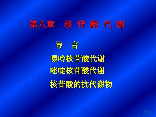 08第八章 核苷酸代谢.ppt