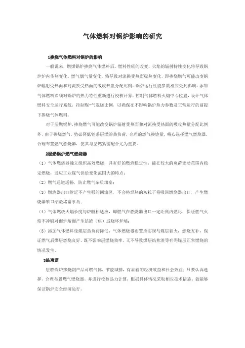 气体燃料对锅炉影响的研究