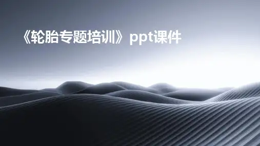 《轮胎专题培训》课件