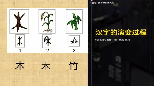【课件】第5课+书为心画——中国书法+课件-高中美术人教版(2019)美术鉴赏