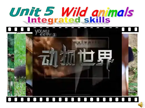 译林牛津版八年级英语上Unit5WildAnimalsIntegratedskills课件(共61张PPT)