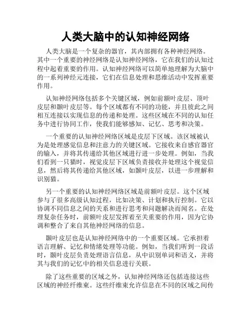 人类大脑中的认知神经网络