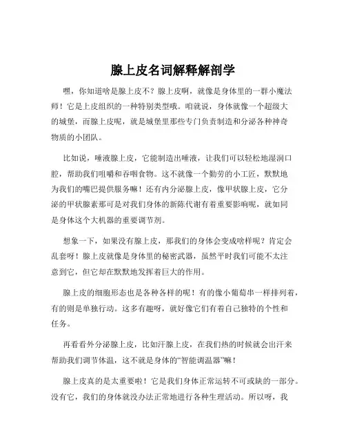 腺上皮名词解释解剖学