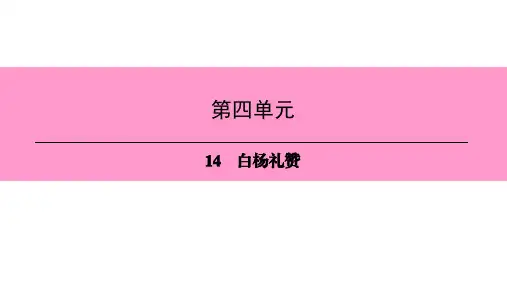 人教部编版语文八年级上册课件：14 白杨礼赞 (共26张PPT)