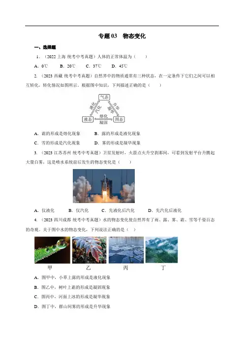 中考物理 物态变化(真题训练)原卷版)