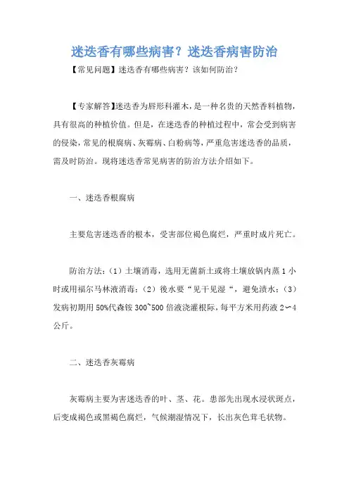 迷迭香有哪些病害？迷迭香病害防治