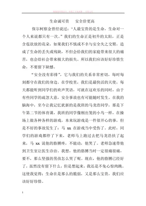 漯河市中考满分作文-生命诚可贵 安全价更高 (2)