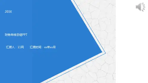 公司会计财务数据分析报告PPT模板财务统计商务年度总结汇报ppt (20)