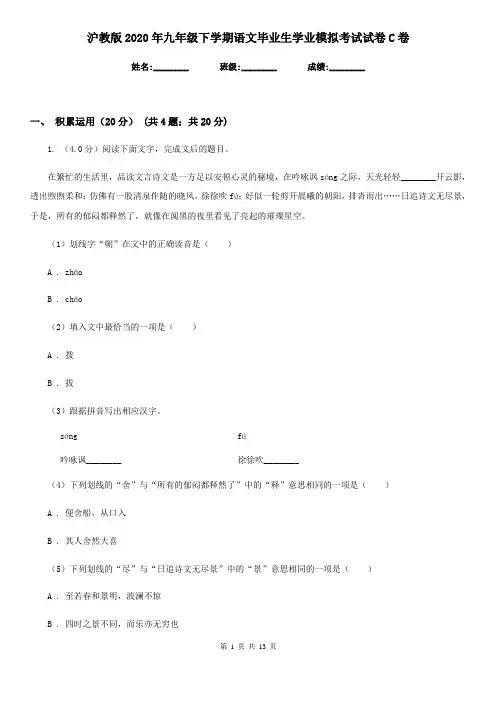 沪教版2020年九年级下学期语文毕业生学业模拟考试试卷C卷