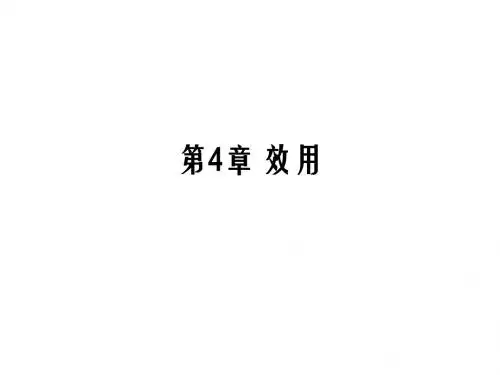 范里安 中级微观经济学 课件 第4章