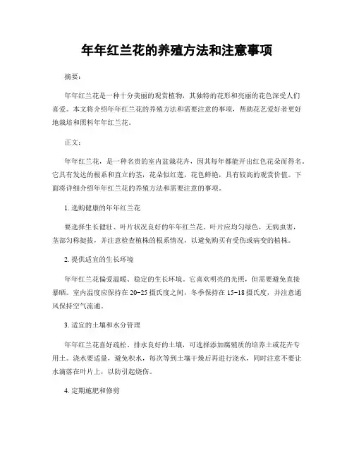 年年红兰花的养殖方法和注意事项