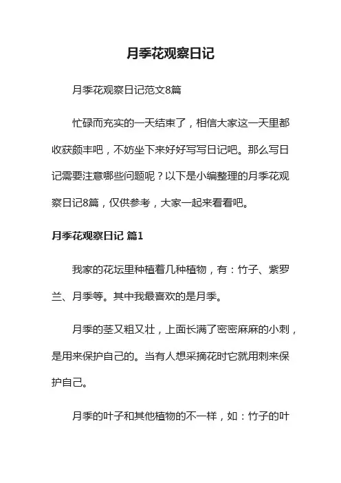 月季花观察日记范文8篇