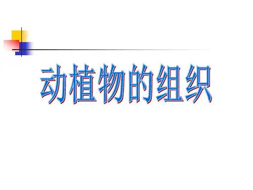 初中生物--动植物的组织