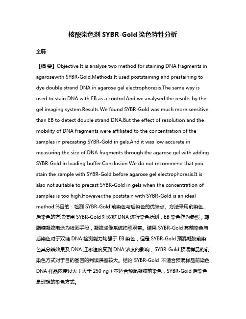 核酸染色剂SYBR-Gold染色特性分析