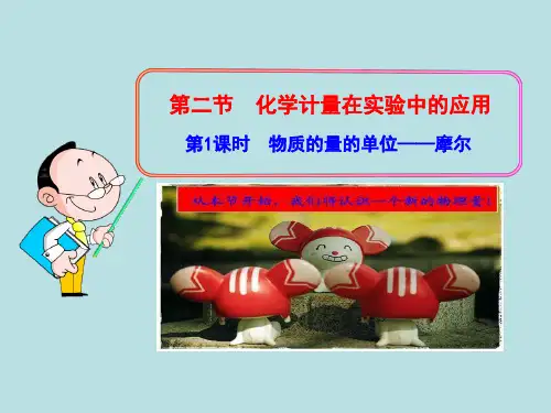 人教版-化学必修化学计量在实验中的应用PPT演示6