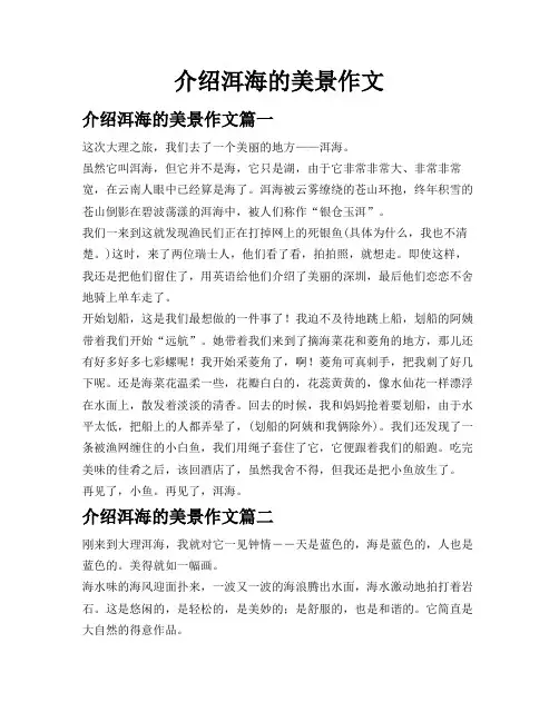 介绍洱海的美景作文