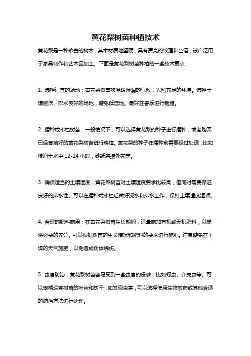 黄花梨树苗种植技术