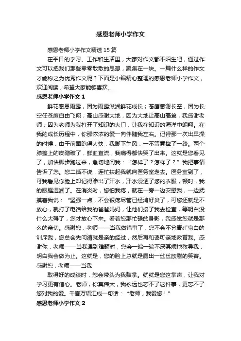 感恩老师小学作文