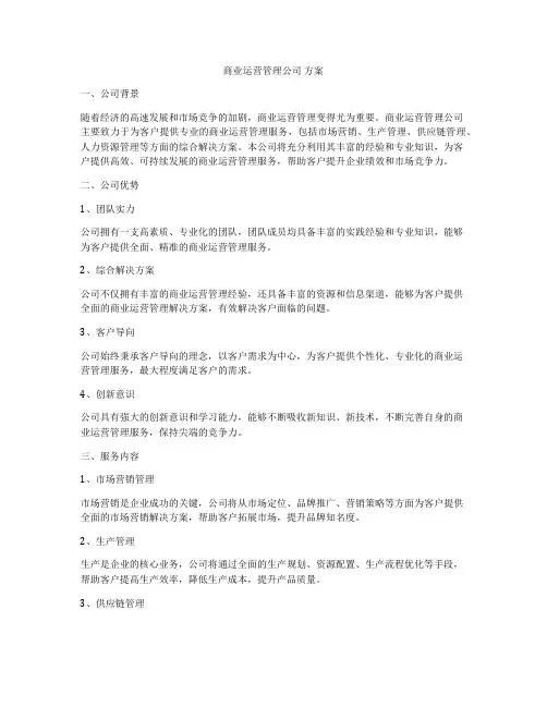 商业运营管理公司 方案