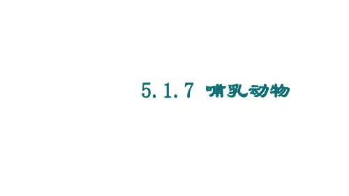 5.1.7 哺乳动物 课件2021-2022学年初中生物人教版八年级上册 课件