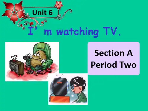 人教英语七年级下册Unit6Section A Grammar focus 3a—3c(共25张PPT)