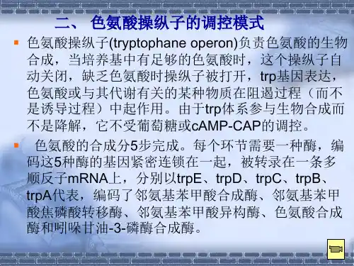 02色氨酸操纵子的调控模式