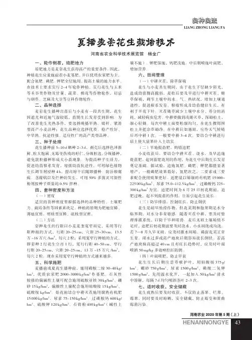 夏播麦套花生栽培技术