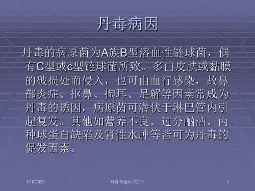 丹毒专题知识宣讲培训课件