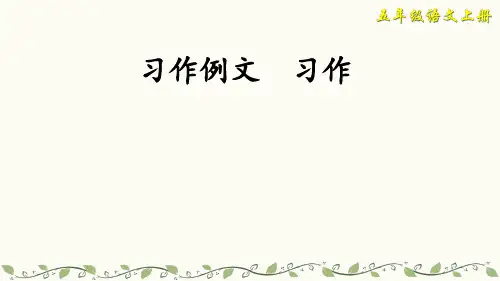 部编五年级上册第五单元习作例文与习作介绍一种事物课件(24张ppt)
