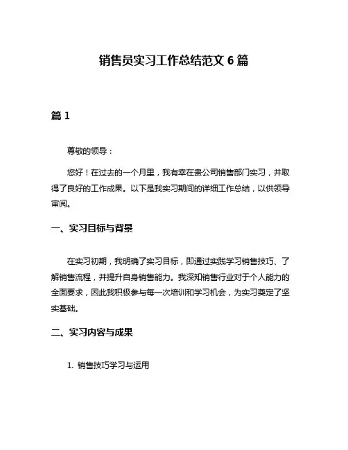 销售员实习工作总结范文6篇