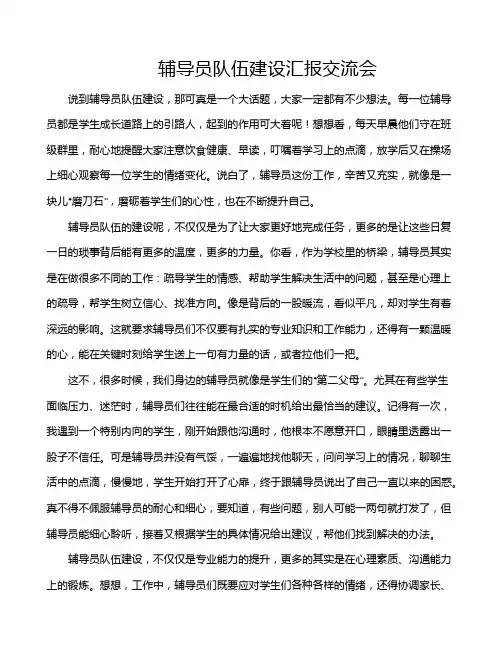 辅导员队伍建设汇报交流会