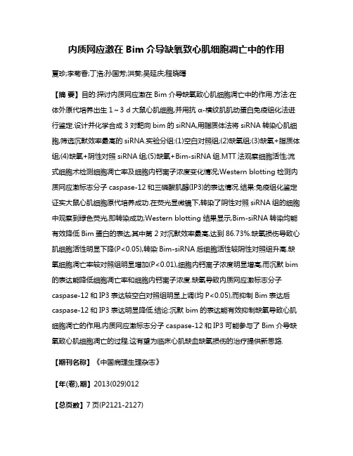 内质网应激在Bim介导缺氧致心肌细胞凋亡中的作用