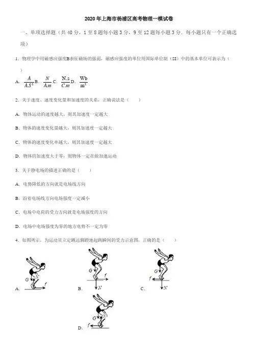2020届上海市杨浦区高三物理一模试题