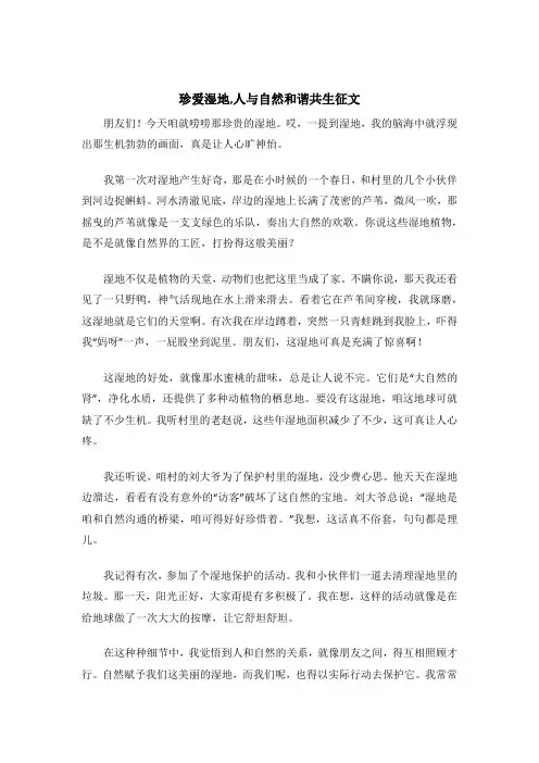 珍爱湿地,人与自然和谐共生征文