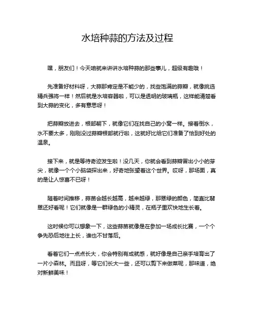 水培种蒜的方法及过程