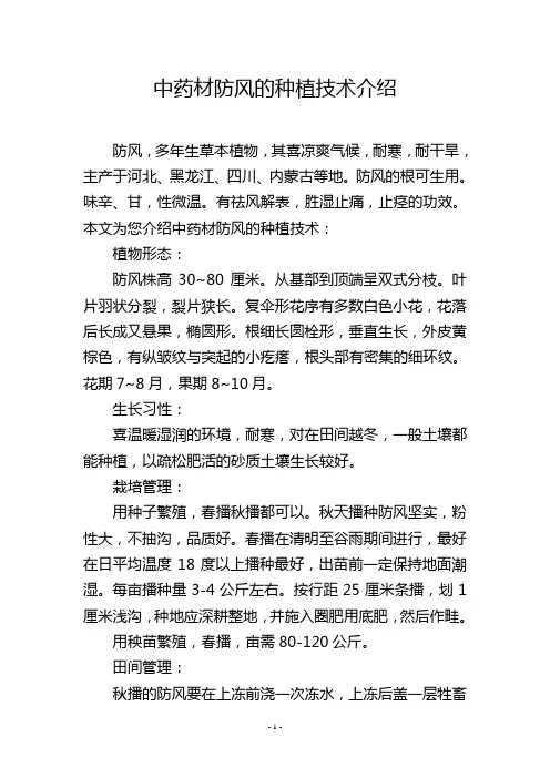 中药材防风的种植技术介绍