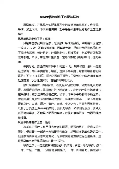 凤凰单枞的制作工艺是怎样的