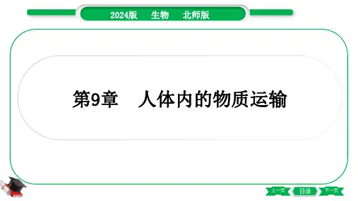 2024年北师大版中考生物总复习第一部分考点梳理七年级下册第4单元生物圈中的人第9章人体内的物质运输