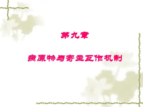 14病原物与寄主互作机制