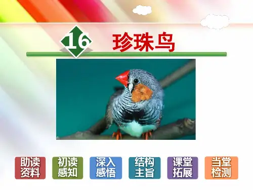 【部编版人教版】五年级语文上册《16.珍珠鸟》附答案